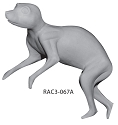 RAC3-067A